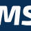 LOGO-GEMSESww-2